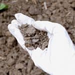What diseases can be caused by soil pollution?