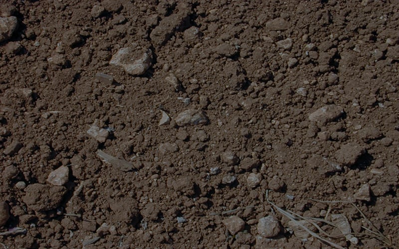 Boron deficiency in soil threats for crops and environment