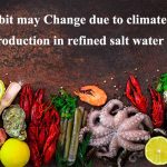 Food habit may Change due to climate change; Seaweed production in refined salt water is growing.