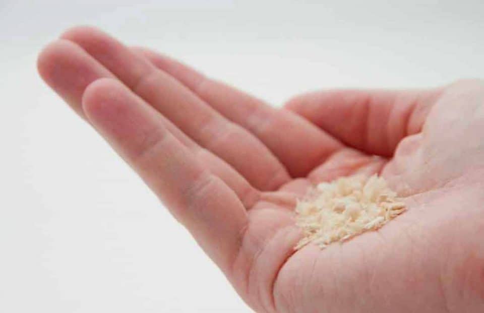 Scientists are creating protein-rich food which are made of air