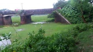 Twelve rivers in Jhenaidah are illegally occupied, aquatic animals and the environment including fishes are under threat