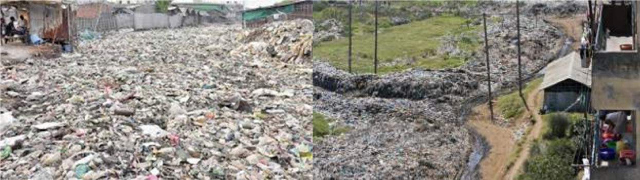 Some Positive Signs We Are looking Now To Build A Polythene and Plastic-free World in the recent future