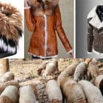 California Becomes The First State In The US To Ban Animal Fur Products