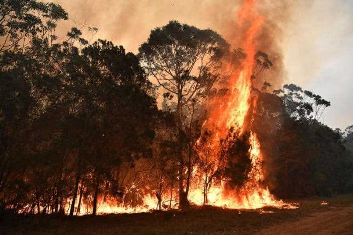 Bushfires are still burning in 100 places on Australia's south coast