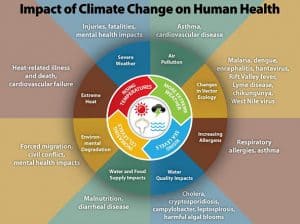 Climate change and globalization can increase viral diseases