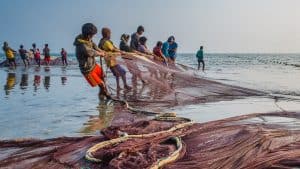 Traditional Fishing with current nets at Cox’s Bazar (Image Courtesy: Fiveprime)