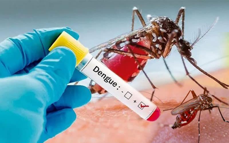 Dengue Is Spreading Alongside With Covid-19