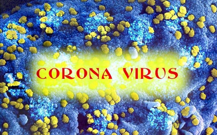 Global Corona virus Situation: Scheme 2