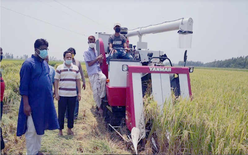 Combine Harvester for Reaping Paddy - Bangladesh Govt. offers 50% subsidies among the Farmers