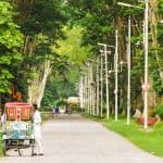 The Chirping of Birds have made The Campus Lively