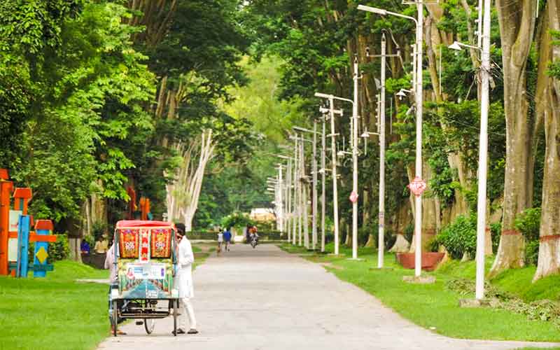 The Chirping of Birds have made The Campus Lively