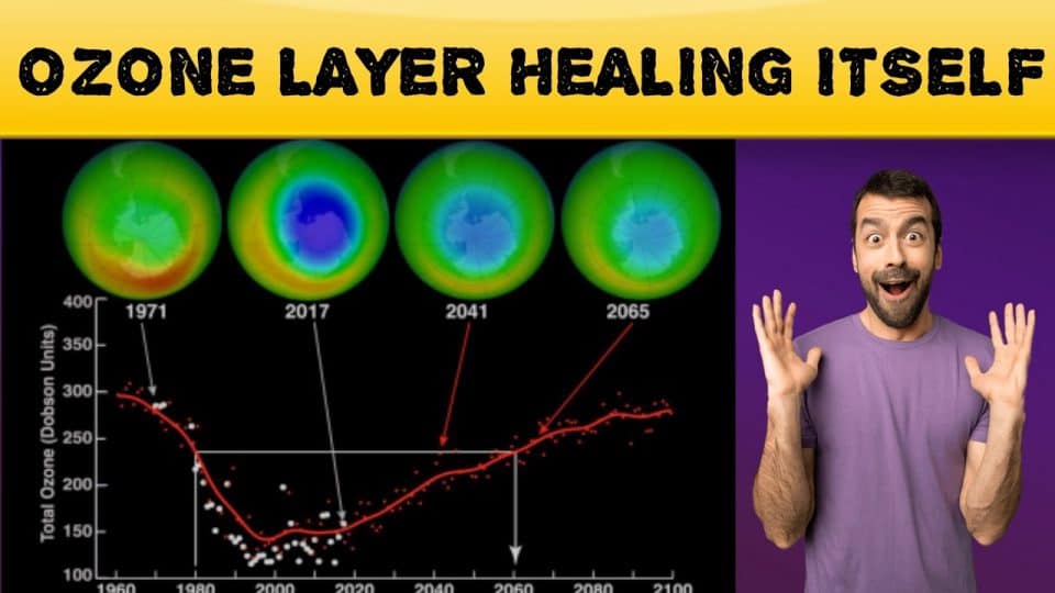 The Ozone layer is healing | COVID-19 Coronavirus: Positive effects in Nature