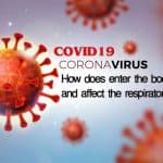 How COVID19 Coronavirus does enter the body and affect the respiratory system?