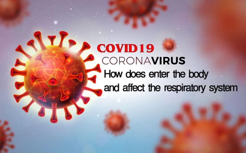 How COVID19 Coronavirus does enter the body and affect the respiratory system?