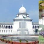 Killing of Dolphins in Halda River