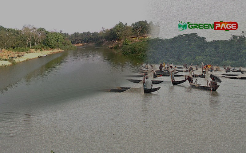 The River Halda in Bangladesh is Now Suitable for Fish Breeding