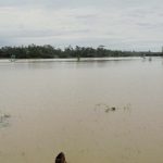 Fish Worth BDT.4.5 Billion Swept Away in the First phase Flood in Bangladesh