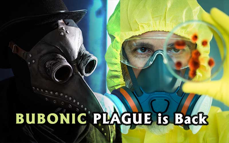 Bubonic Plague