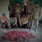 A smuggler with deer meat arrested from the Sundarbans