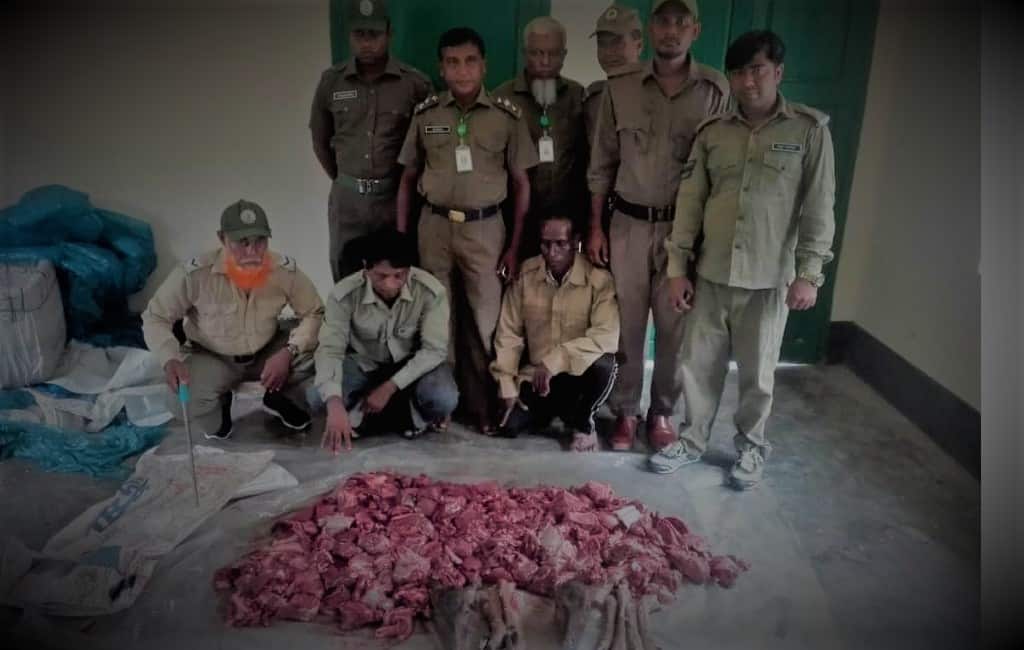 A smuggler with deer meat arrested from the Sundarbans