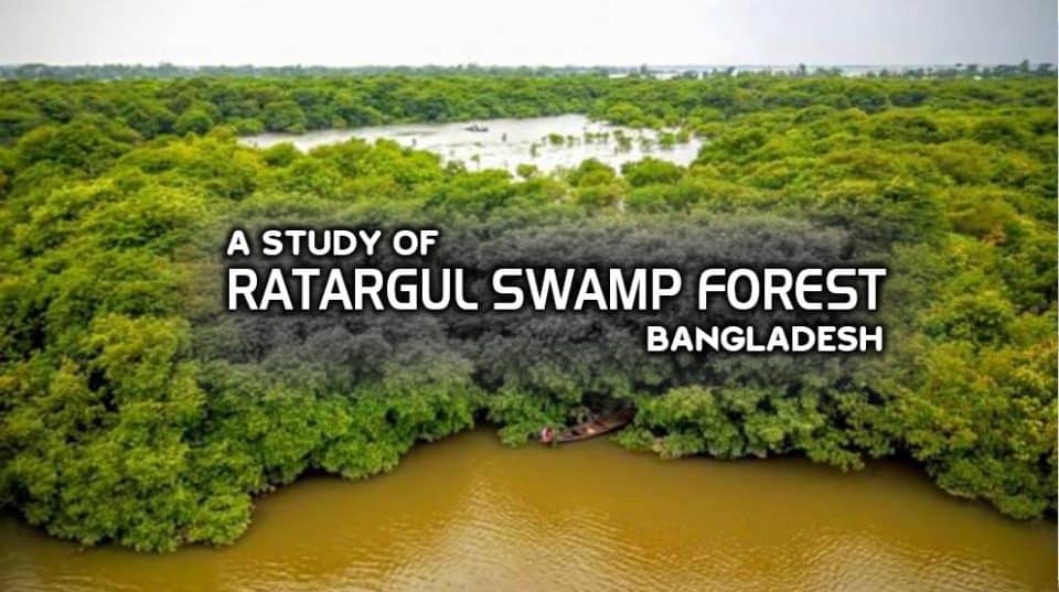 A study of Ratargul Swamp Forest, Bangladesh