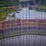 Fish Farming Through Fences in the Flowing Mukteshwari River, Bangladesh