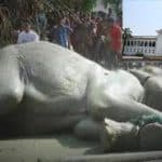 HC Rejects Writ Seeking Probe into 84 Elephants' Death
