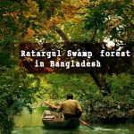Ratargul Swamp forest in Bangladesh