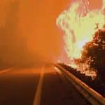 Twenty-five miles of green forest burned in a day in California