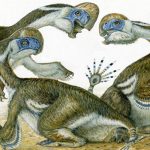 Discovered new Species of Toothless Dinosaurs in the Mongolian desert