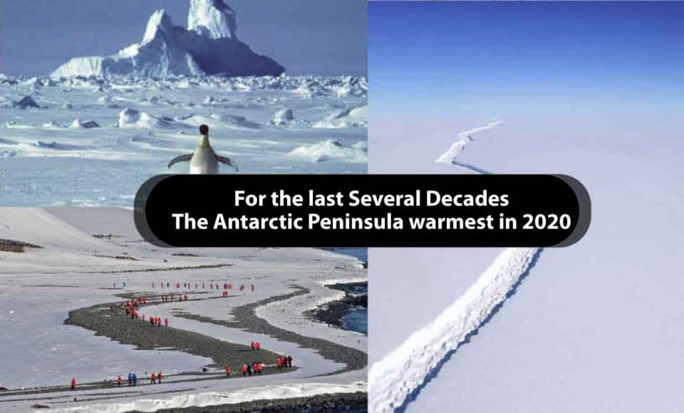 For the last Several Decades; the Antarctic Peninsula warmest in 2020