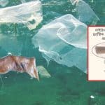 Its growth is disrupted. The research team is now working on whether other large fish in the Bay of Bengal have plastic.