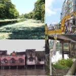 Occupancy and pollution squeeze the ecology and shape of the Old Brahmaputra