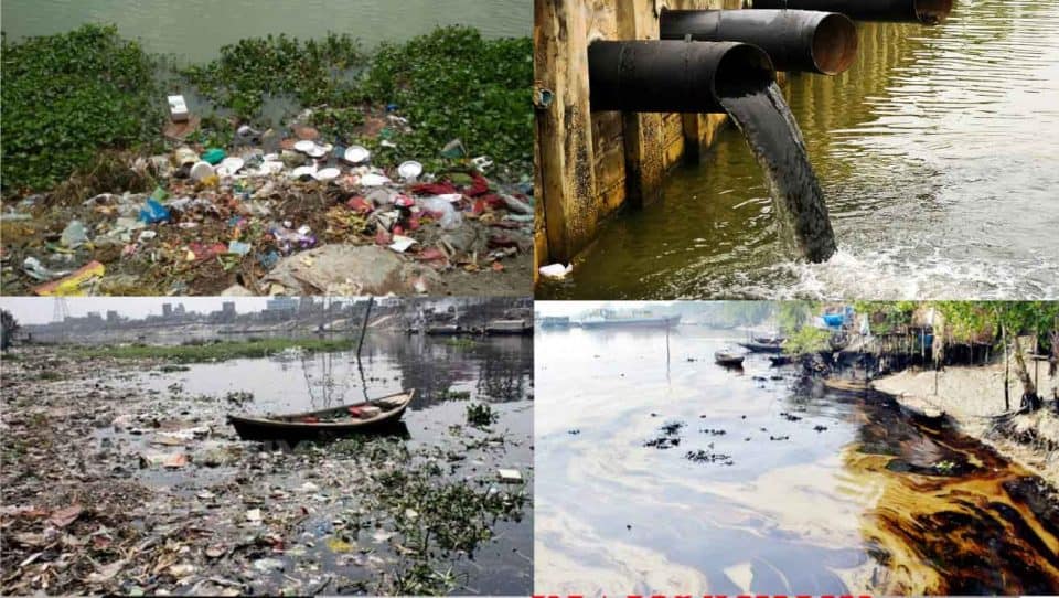 The Padma pollution is increasing with the dumping of solid and liquid waste