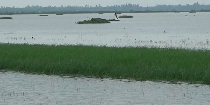 The erosion of the Dharla and the Brahmaputra destroyed hundreds of settlements in seven days and submerged thousands of hectares of crops