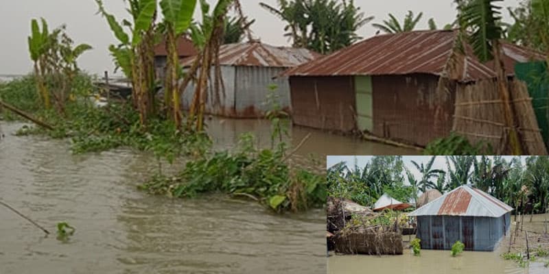The water of Jamuna is above the danger level in Bogra, hundreds of hectares of crop fields are flooded