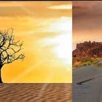 Things that are changing as a result of climate change
