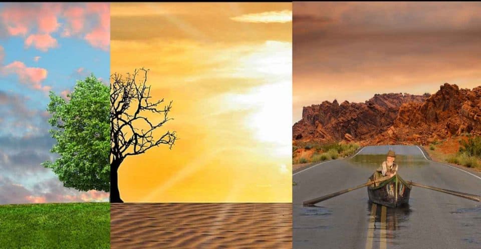 Things that are changing as a result of climate change