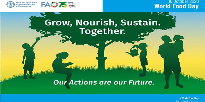 World Food Day is being celebrated
