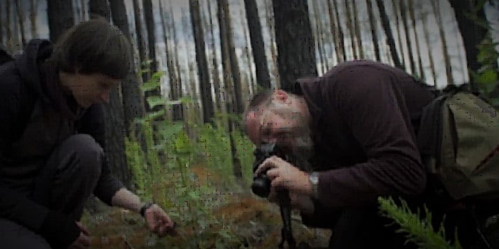 Leave the responsibility of forest restoration to nature Researchers