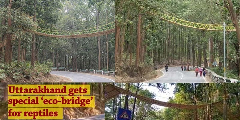 The first Eco Bridge at road crossing for reptiles in India