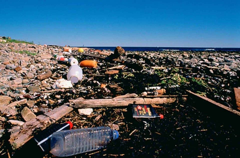 In 2019, 220 Million Pounds Worth of Plastic Waste was Dumped in the Sea