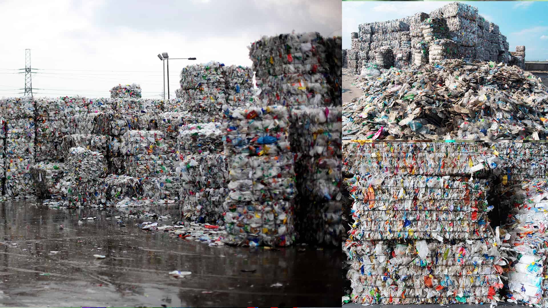 The Plastic petition