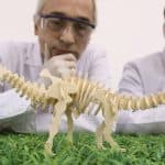 How did the dinosaurs get extinct from the Earth