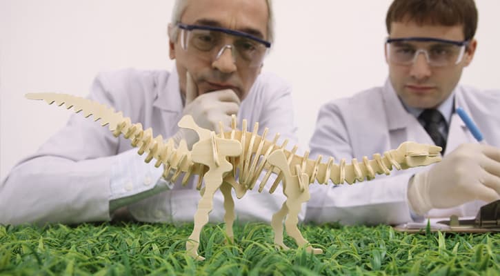 How did the dinosaurs get extinct from the Earth