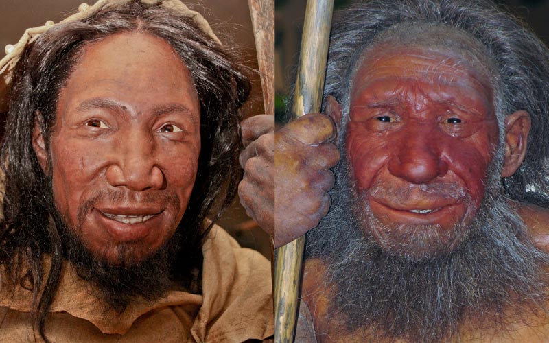 Why are Neanderthals disappeared from the earth