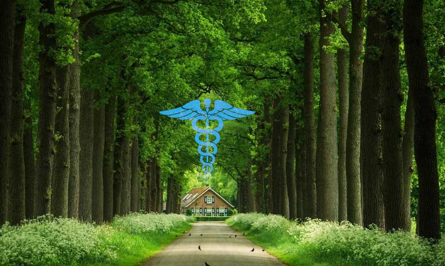 First-ever in history! A hospital established for the care of Trees