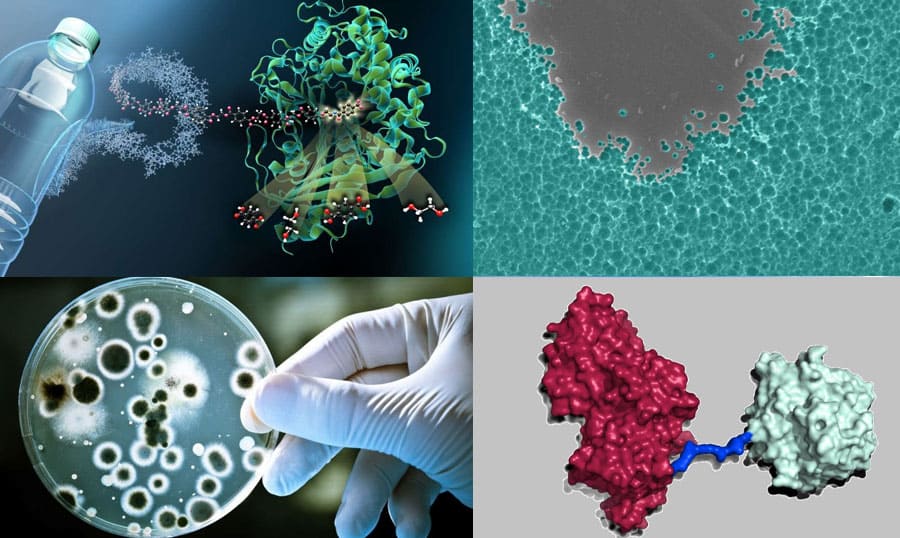 Plastic-destroying enzymes easily wipe out plastics in just a few days