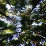 Demanding to Raise Funding Triple to Restore Nature