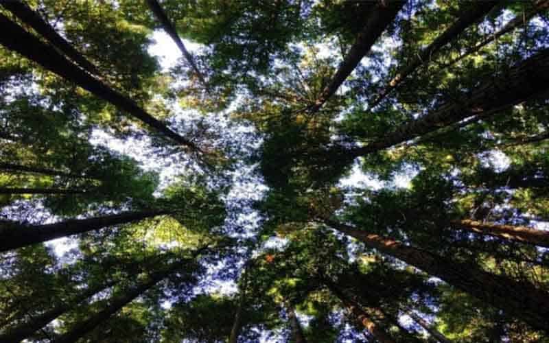 Demanding to Raise Funding Triple to Restore Nature